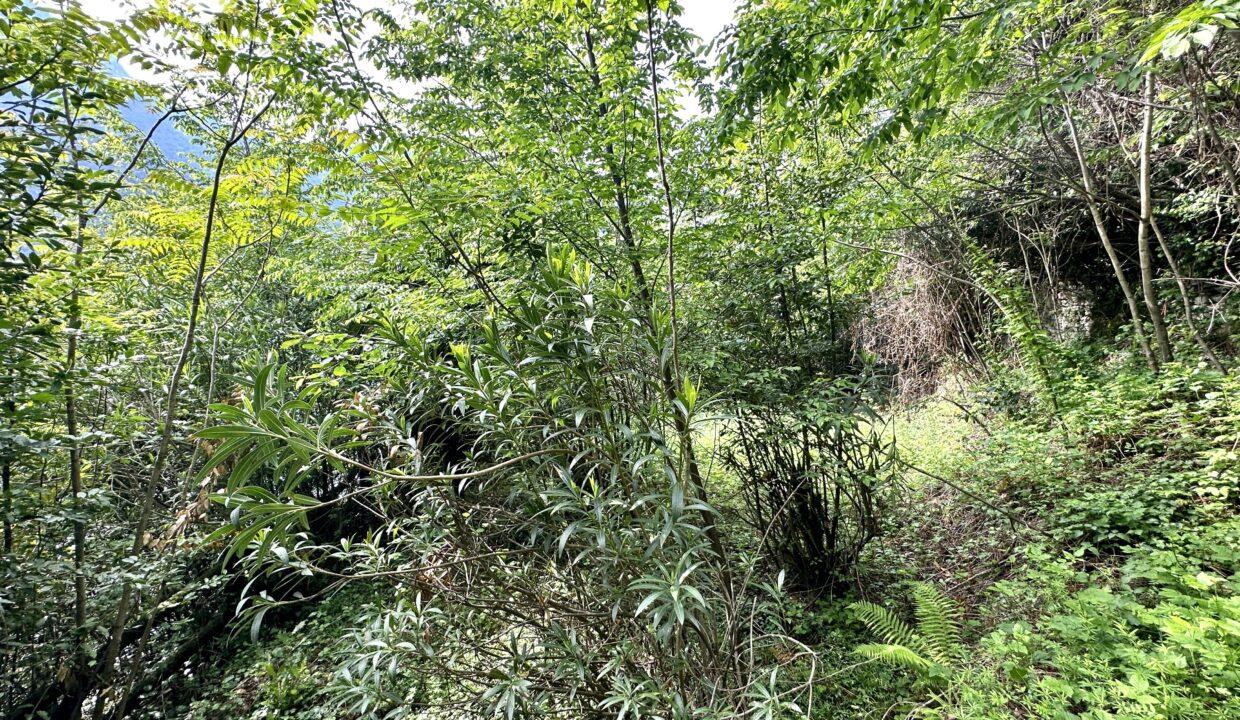 Ville in vendita a Nesso: la tua casa da sogno sul Lago di Como